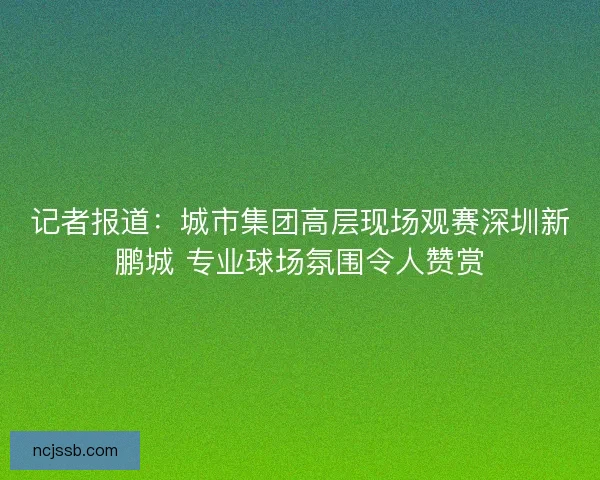 记者报道:城市集团高层现场观赛深圳新鹏城 专业球场氛围令人赞赏 记者报道:城市集团高层现场观赛深圳新鹏城 专业球场氛围令人赞赏